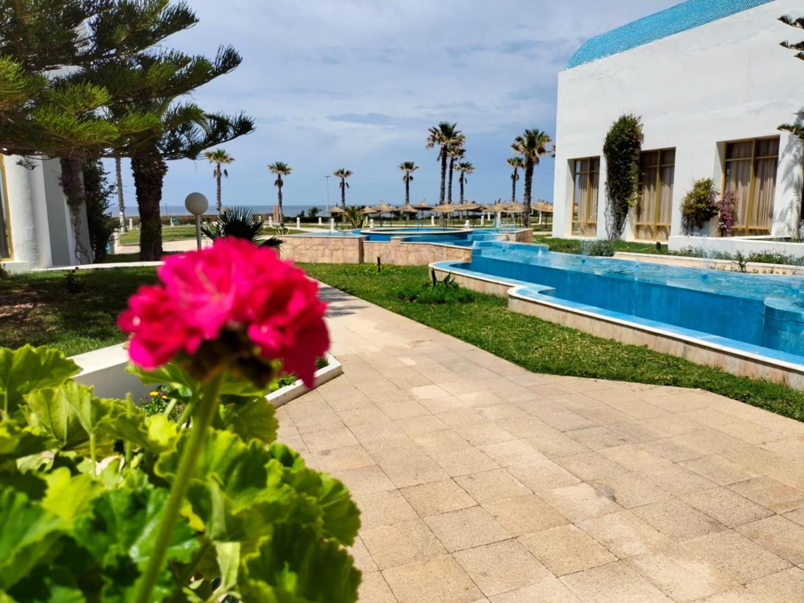 Amir Palace 4*